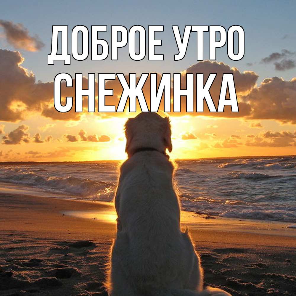 Открытка на каждый день с именем, Снежинка Доброе утро восход солнца Прикольная открытка с пожеланием онлайн скачать бесплатно 