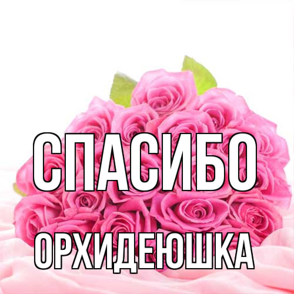 Открытка на каждый день с именем, Орхидеюшка Спасибо розовые розы с подписью Прикольная открытка с пожеланием онлайн скачать бесплатно 