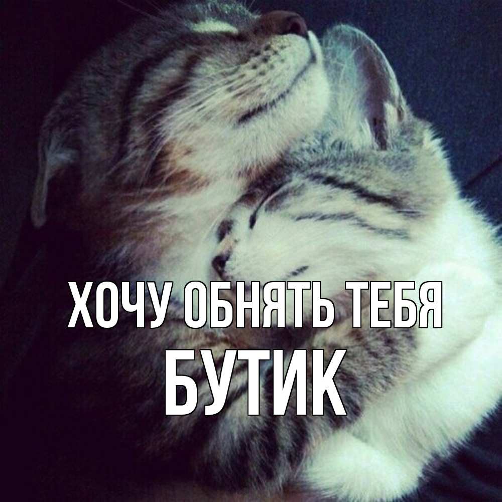 Открытка на каждый день с именем, Бутик Хочу обнять тебя полосатики Прикольная открытка с пожеланием онлайн скачать бесплатно 