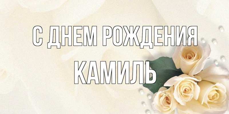 Картинка С днем рождения, Камиль