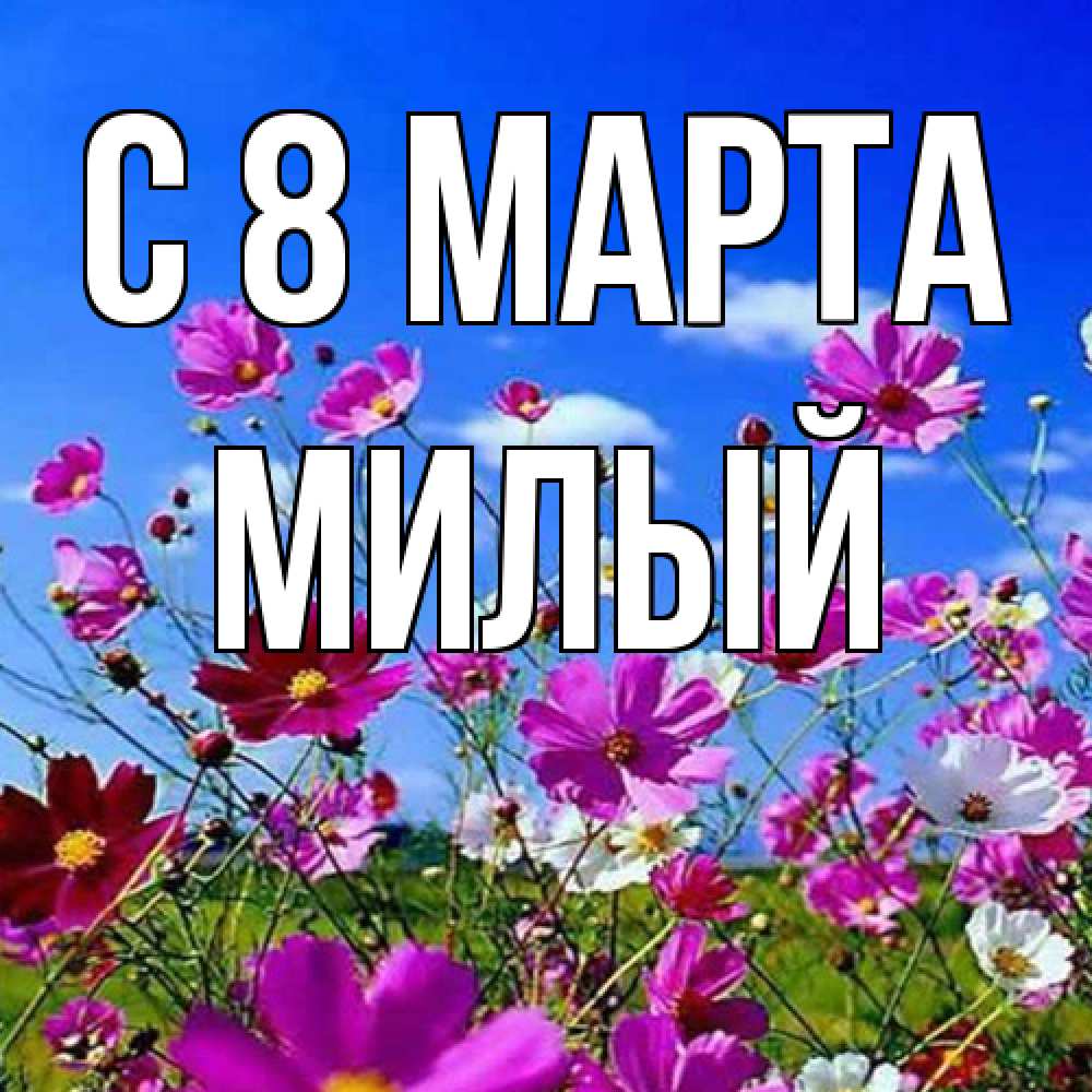 Открытка на каждый день с именем, Милый C 8 МАРТА цветы Прикольная открытка с пожеланием онлайн скачать бесплатно 