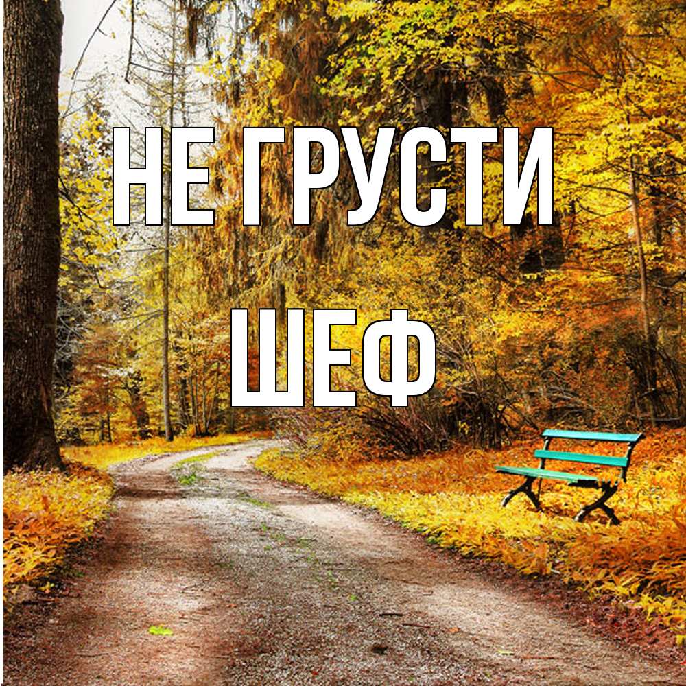 Открытка на каждый день с именем, Шеф Не грусти зеленая лавочка Прикольная открытка с пожеланием онлайн скачать бесплатно 
