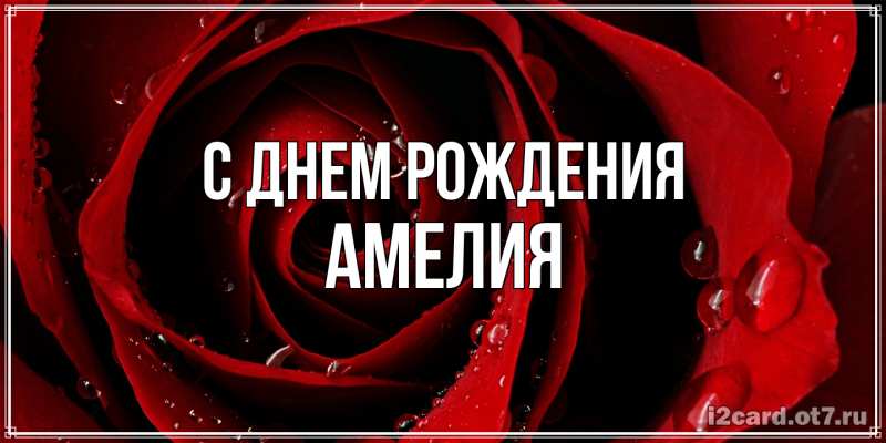 Картинка С днем рождения, Амелия
