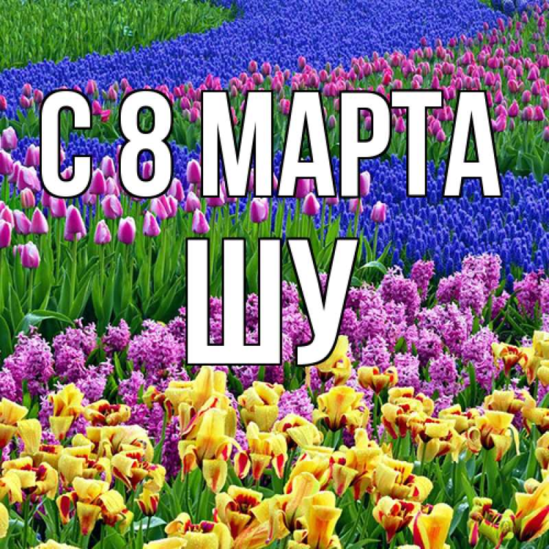 Картинка C 8 МАРТА, Шу