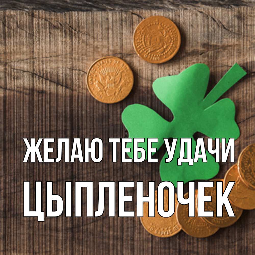 Открытка на каждый день с именем, Цыпленочек Желаю тебе удачи на удачу сегодня Прикольная открытка с пожеланием онлайн скачать бесплатно 
