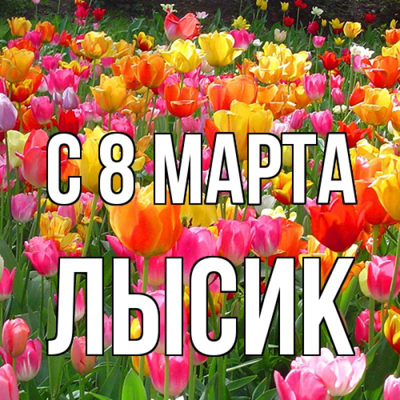 Картинка C 8 МАРТА, Лысик