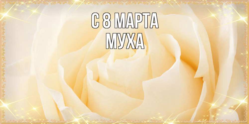 Открытка на каждый день с именем, Муха C 8 МАРТА с международным женским днем поздравления для женщины Прикольная открытка с пожеланием онлайн скачать бесплатно 