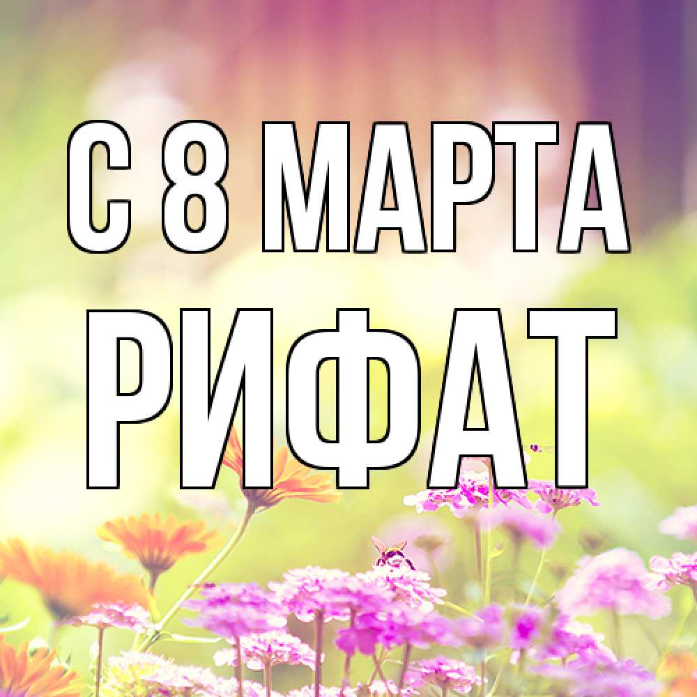 Открытка на каждый день с именем, Рифат C 8 МАРТА цветы весна Прикольная открытка с пожеланием онлайн скачать бесплатно 