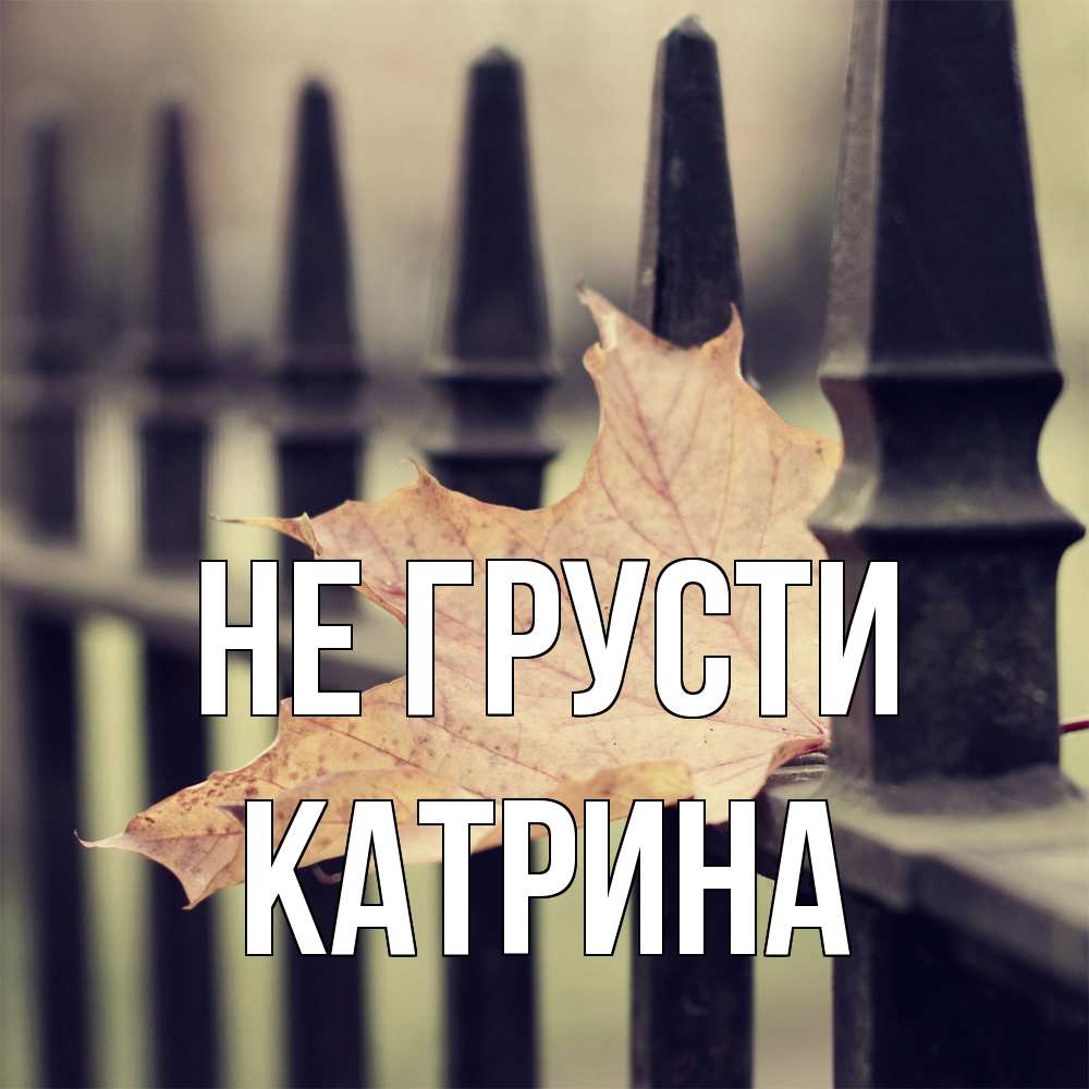 Открытка на каждый день с именем, Катрина Не грусти лист клена Прикольная открытка с пожеланием онлайн скачать бесплатно 