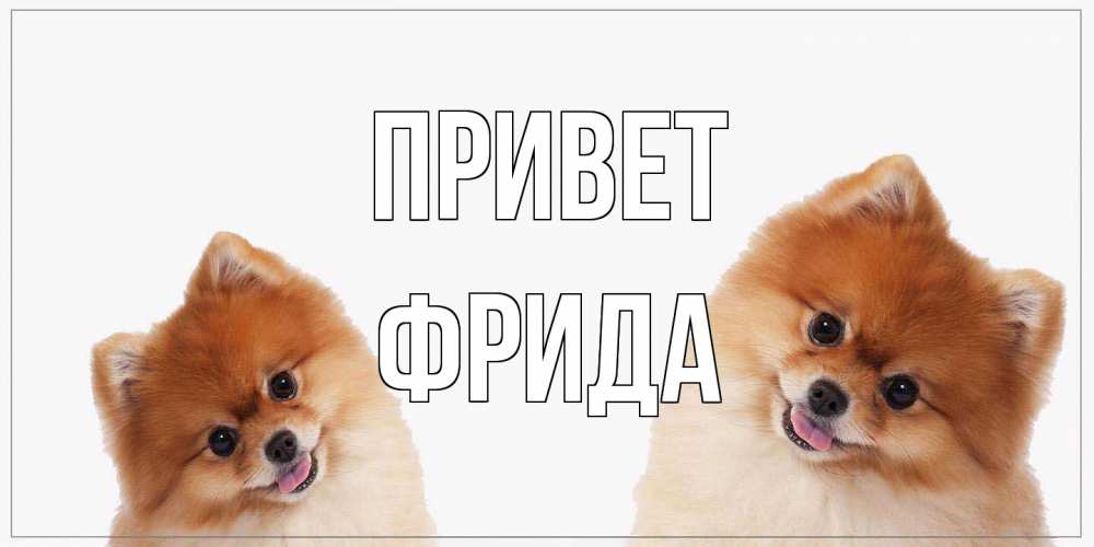 Открытка на каждый день с именем, Фрида Привет привет Прикольная открытка с пожеланием онлайн скачать бесплатно 