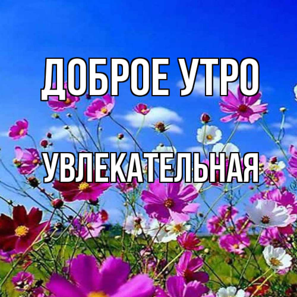 Открытка на каждый день с именем, Увлекательная Доброе утро сиреневые цветы Прикольная открытка с пожеланием онлайн скачать бесплатно 