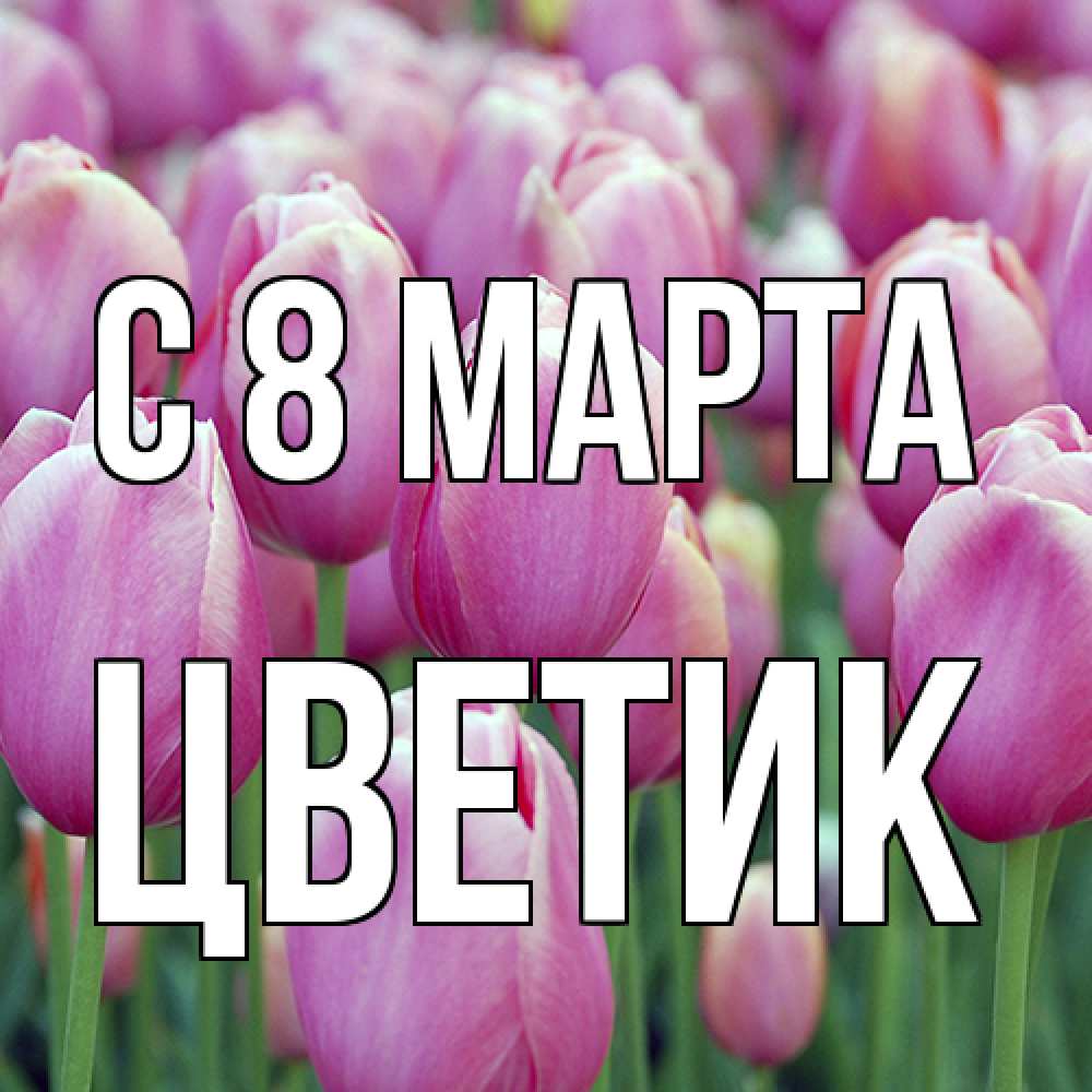 Открытка на каждый день с именем, цветик C 8 МАРТА на международный женский день 3 Прикольная открытка с пожеланием онлайн скачать бесплатно 