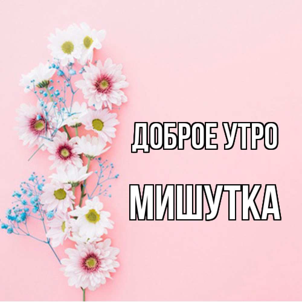 Открытка на каждый день с именем, Мишутка Доброе утро цветы с подписью Прикольная открытка с пожеланием онлайн скачать бесплатно 
