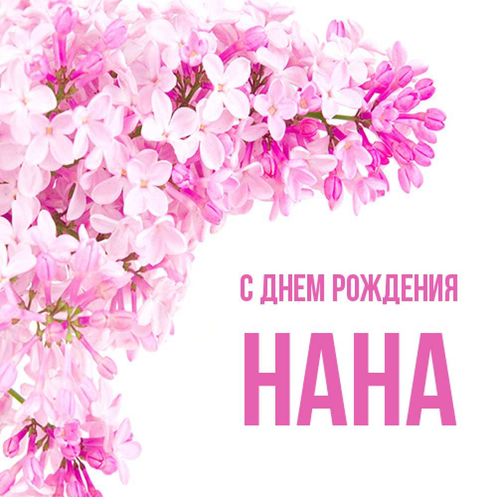 Открытка на каждый день с именем, Нана С днем рождения Сирень на белом фоне Прикольная открытка с пожеланием онлайн скачать бесплатно 