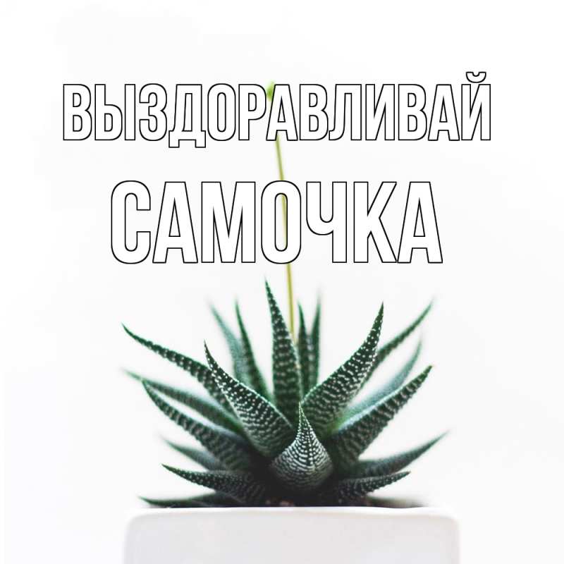 Картинка Выздоравливай, Самочка