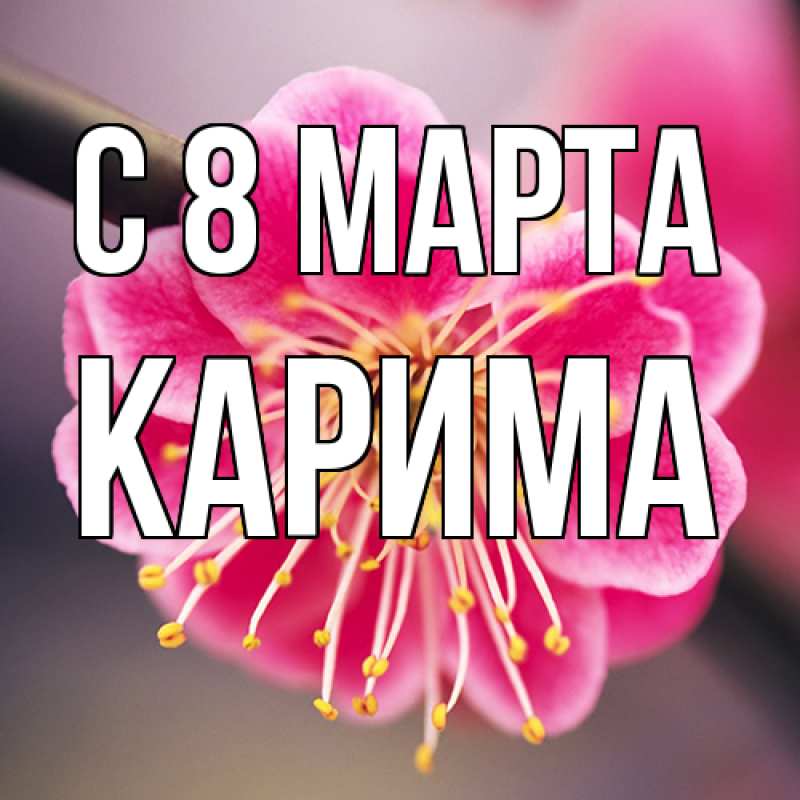 Картинка C 8 МАРТА, Карима