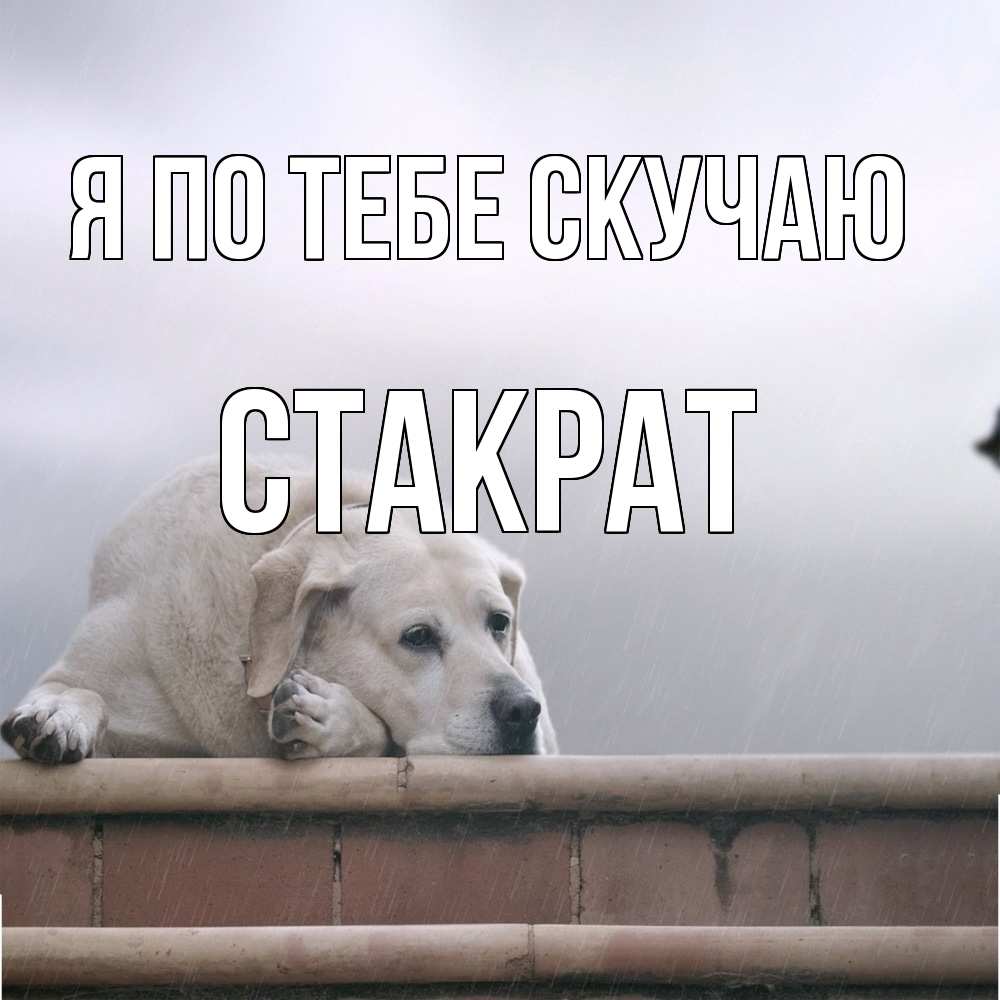Открытка на каждый день с именем, Стакрат Я по тебе скучаю ждет Прикольная открытка с пожеланием онлайн скачать бесплатно 