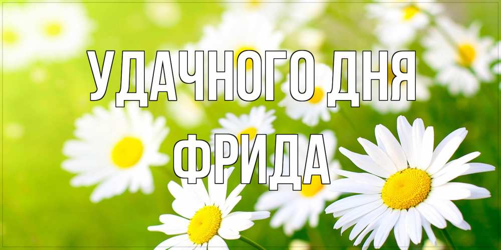 Открытка на каждый день с именем, Фрида Удачного дня открытка с ромашками на зеленом фоне Прикольная открытка с пожеланием онлайн скачать бесплатно 