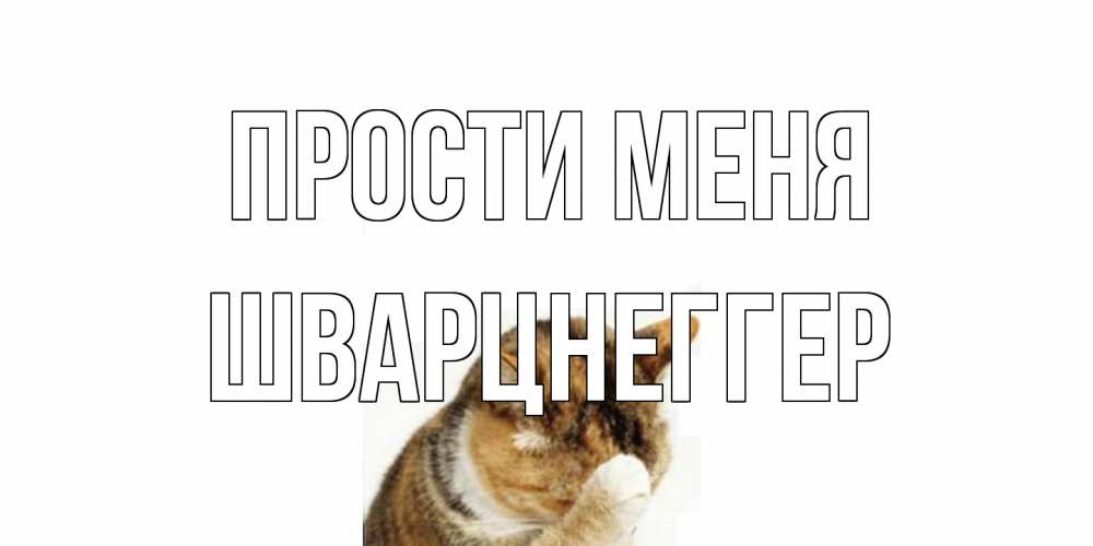 Открытка на каждый день с именем, Шварцнеггер Прости меня кот Прикольная открытка с пожеланием онлайн скачать бесплатно 