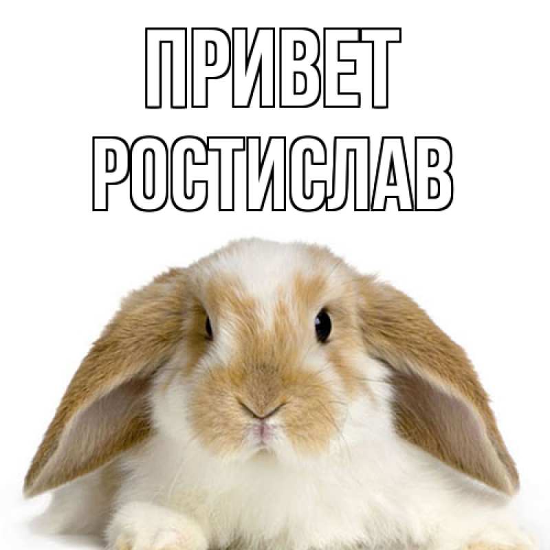Картинка Привет, Ростислав