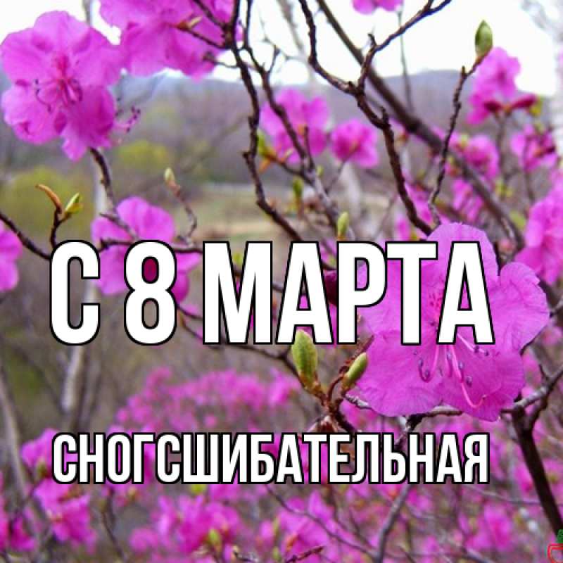 Картинка C 8 МАРТА, сногсшибательная