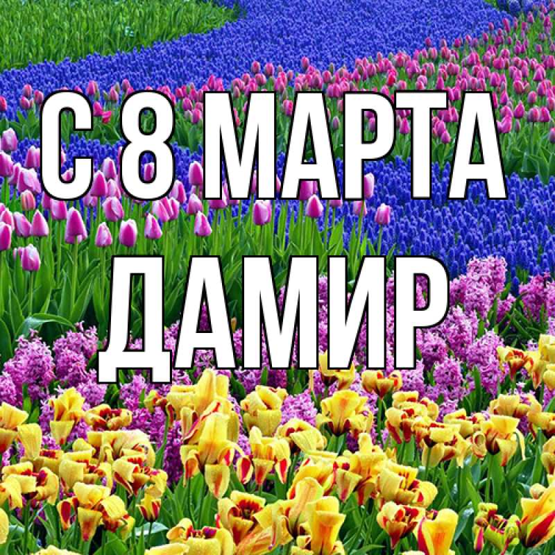 Картинка C 8 МАРТА, ДАМИР