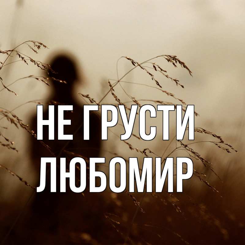 Картинка Не грусти, Любомир