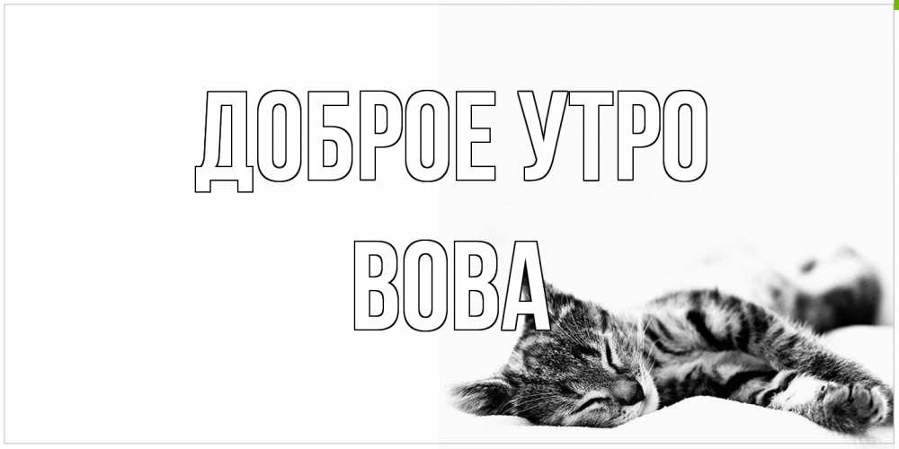 Открытка на каждый день с именем, Вова Доброе утро котуся Прикольная открытка с пожеланием онлайн скачать бесплатно 