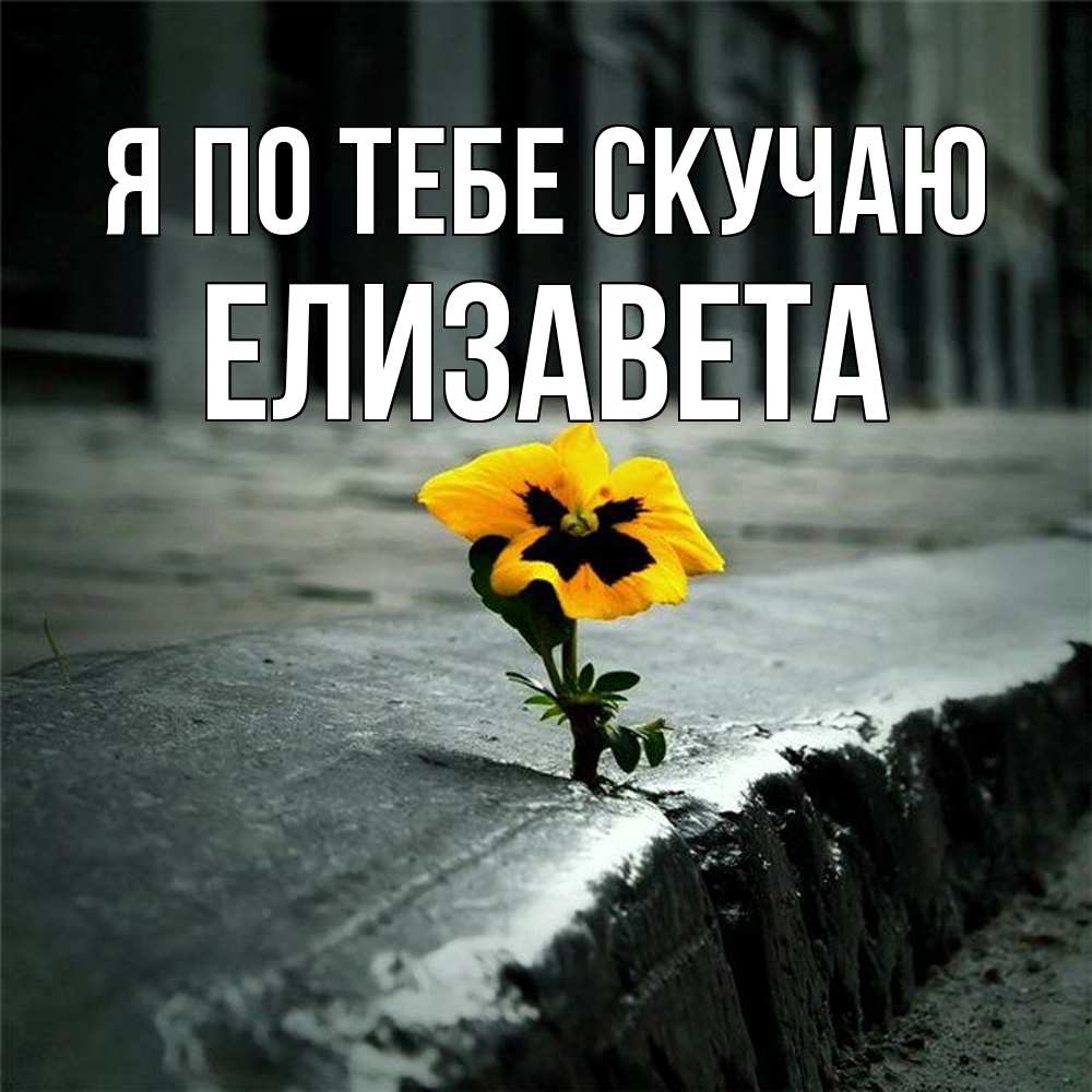 Открытка на каждый день с именем, Елизавета Я по тебе скучаю надеюсь будет лучше Прикольная открытка с пожеланием онлайн скачать бесплатно 