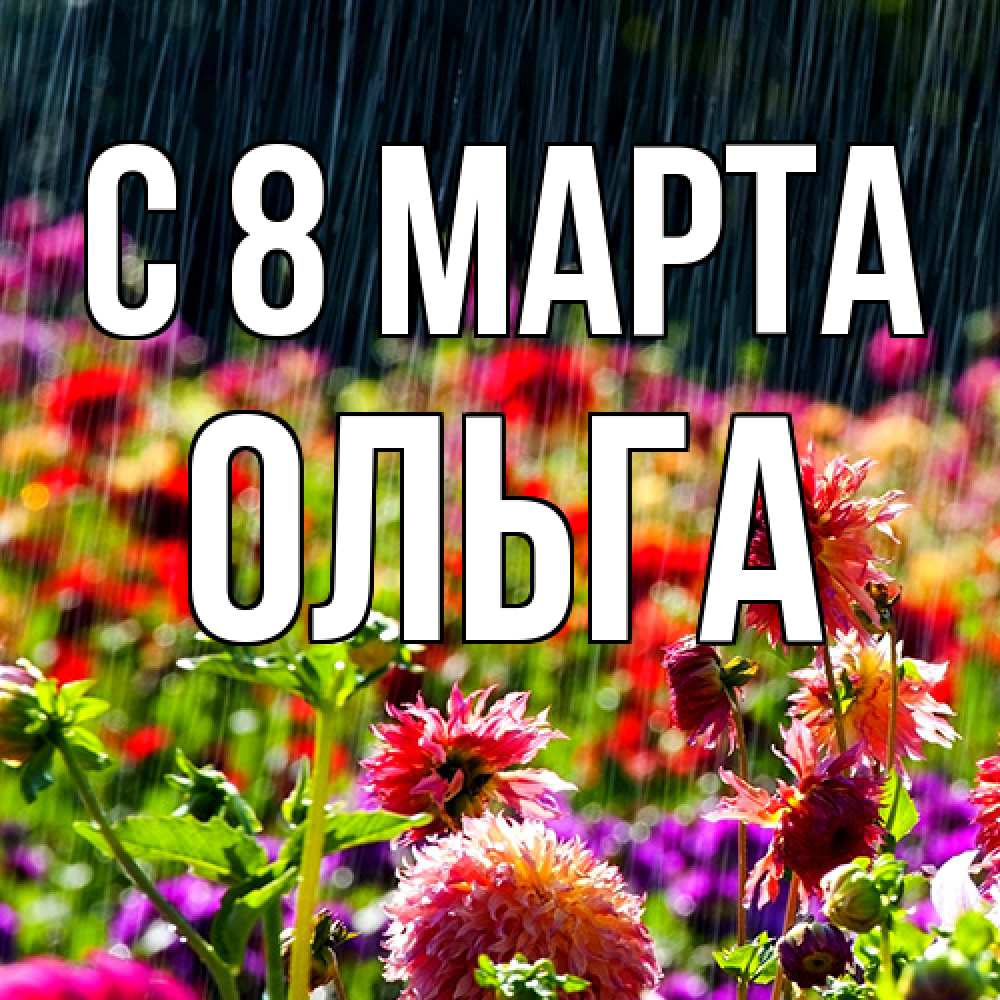 Открытка на каждый день с именем, Ольга C 8 МАРТА цветы под дождиком к международному женскому дню Прикольная открытка с пожеланием онлайн скачать бесплатно 