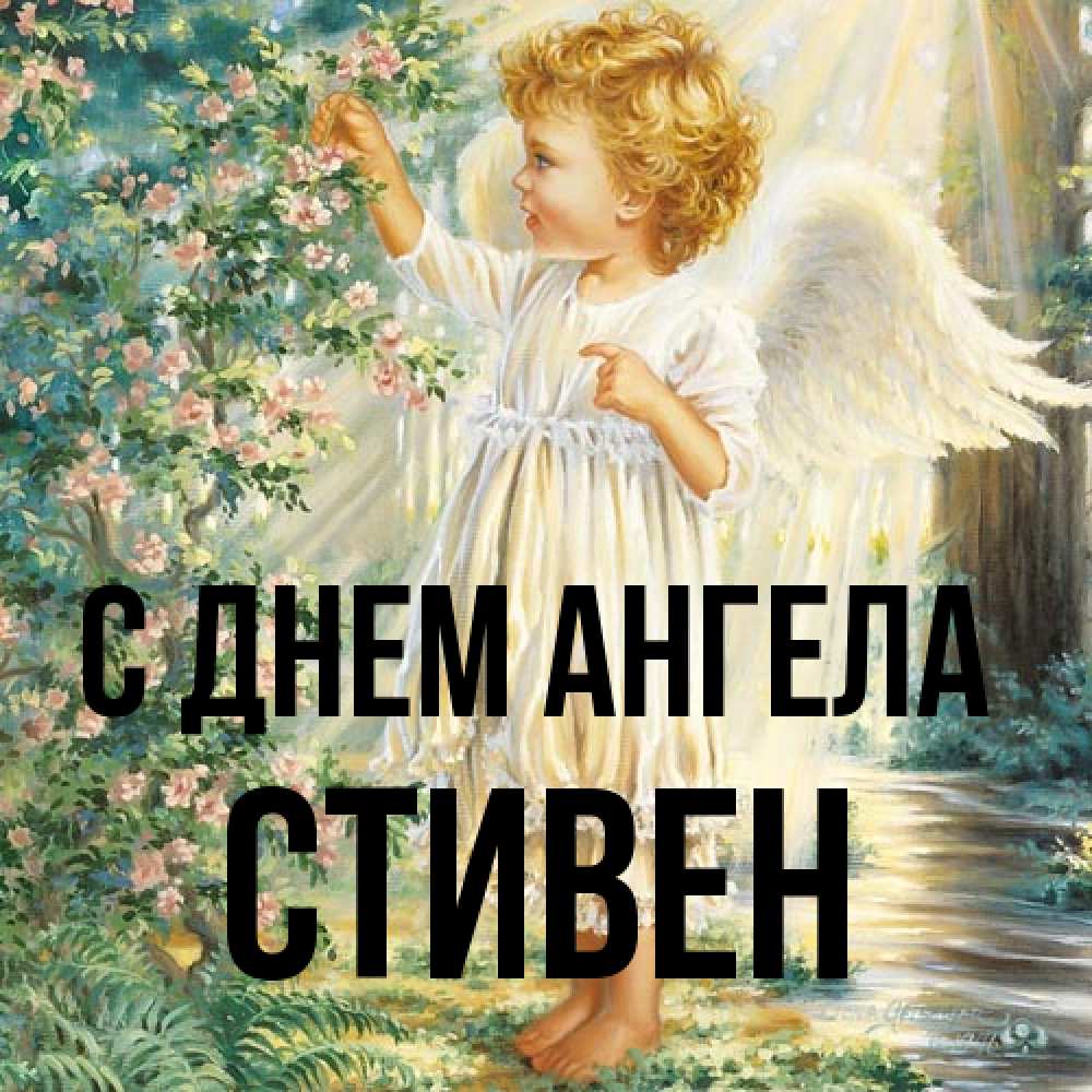 Открытка на каждый день с именем, Стивен С днем ангела собирает цветы Прикольная открытка с пожеланием онлайн скачать бесплатно 