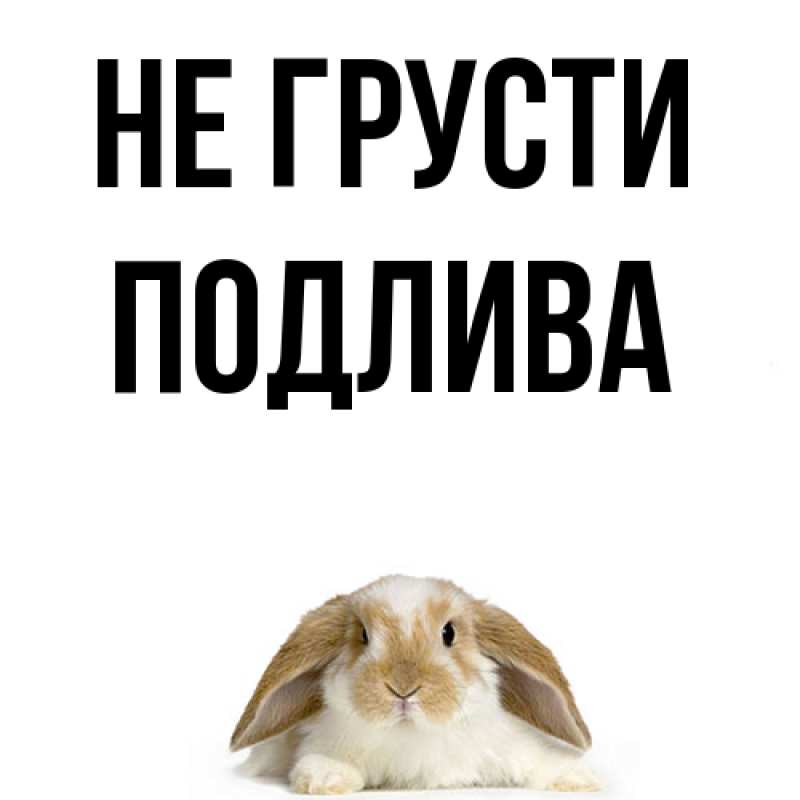 Картинка Не грусти, Подлива