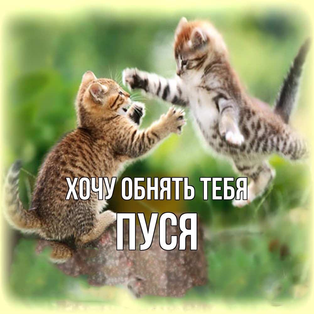 Открытка на каждый день с именем, Пуся Хочу обнять тебя игры котят Прикольная открытка с пожеланием онлайн скачать бесплатно 