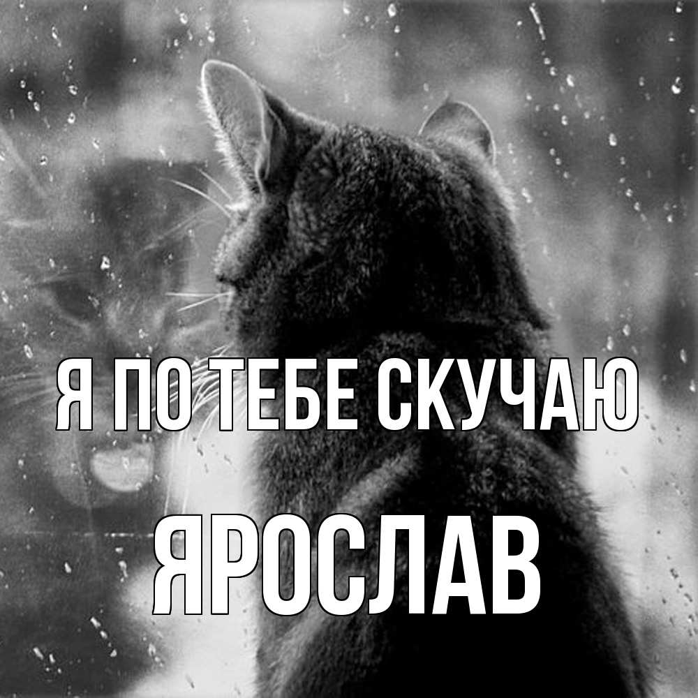 Открытка на каждый день с именем, Ярослав Я по тебе скучаю скорее ко мне приходи 1 Прикольная открытка с пожеланием онлайн скачать бесплатно 