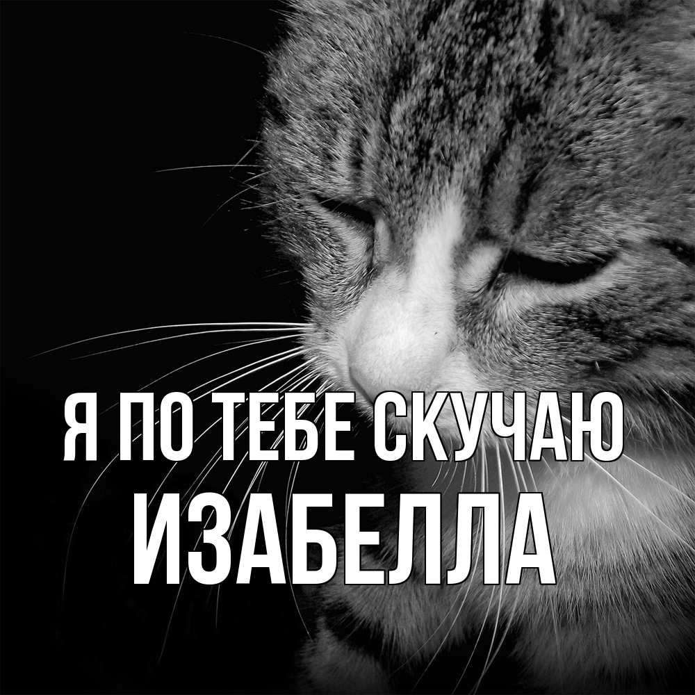 Открытка на каждый день с именем, Изабелла Я по тебе скучаю мне скучно Прикольная открытка с пожеланием онлайн скачать бесплатно 