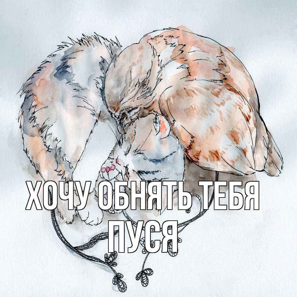 Открытка на каждый день с именем, Пуся Хочу обнять тебя можно быть вместе даже когда очень разные Прикольная открытка с пожеланием онлайн скачать бесплатно 
