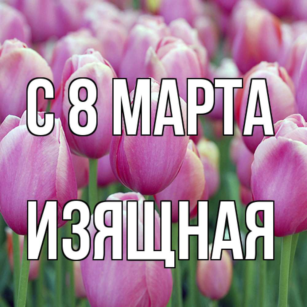 Открытка на каждый день с именем, Изящная C 8 МАРТА на международный женский день 3 Прикольная открытка с пожеланием онлайн скачать бесплатно 
