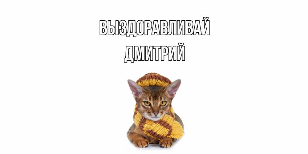 Открытка на каждый день с именем, Дмитрий Выздоравливай родные не болейте Прикольная открытка с пожеланием онлайн скачать бесплатно 