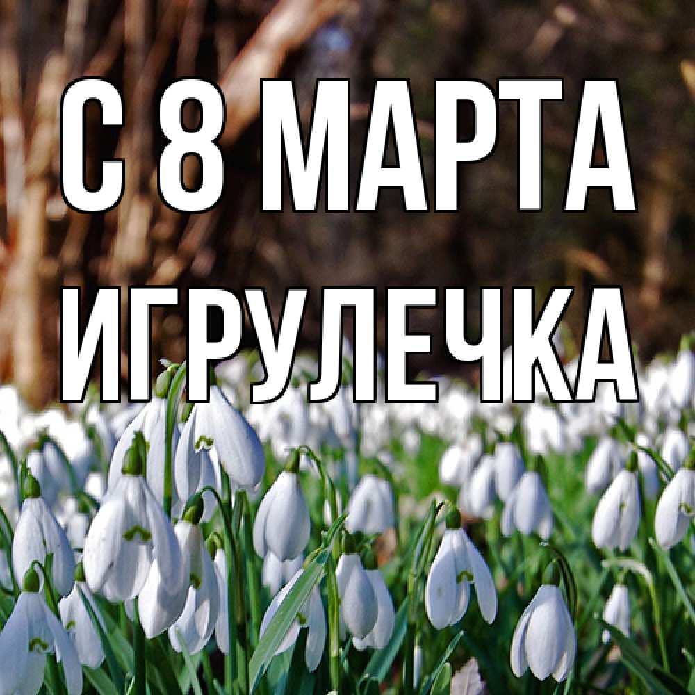 Открытка на каждый день с именем, Игрулечка C 8 МАРТА с подснежниками 1 Прикольная открытка с пожеланием онлайн скачать бесплатно 