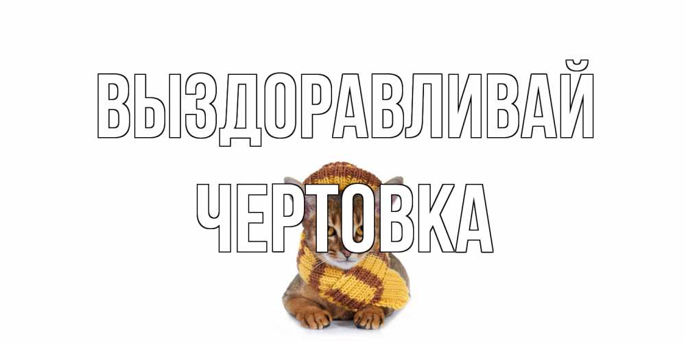 Открытка на каждый день с именем, Чертовка Выздоравливай родные не болейте Прикольная открытка с пожеланием онлайн скачать бесплатно 