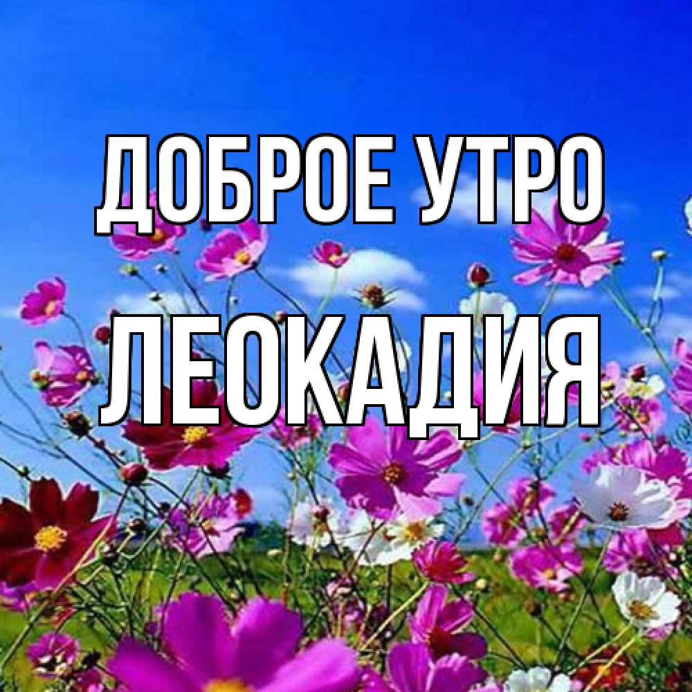 Открытка на каждый день с именем, Леокадия Доброе утро сиреневые цветы Прикольная открытка с пожеланием онлайн скачать бесплатно 