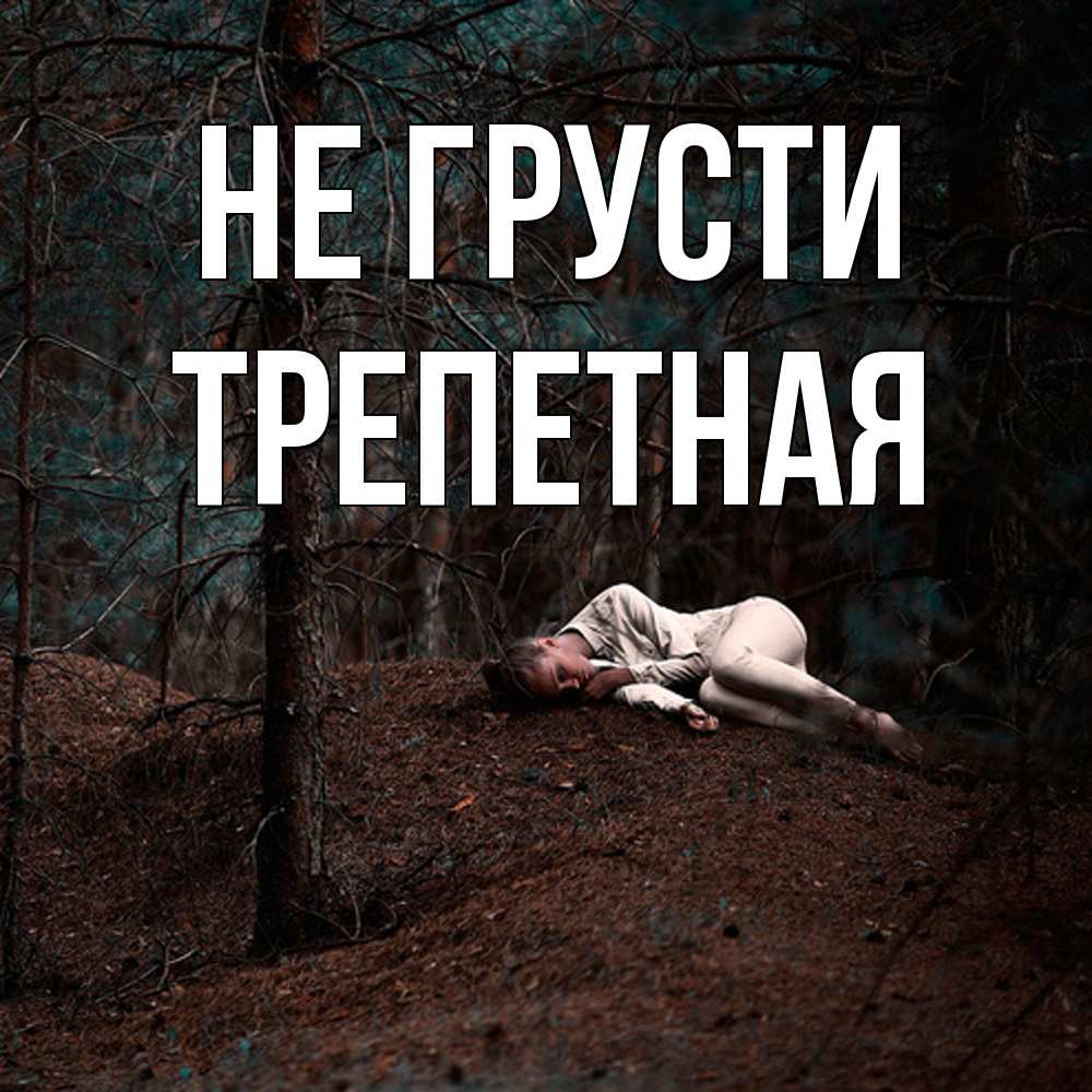 Открытка на каждый день с именем, Трепетная Не грусти лес Прикольная открытка с пожеланием онлайн скачать бесплатно 