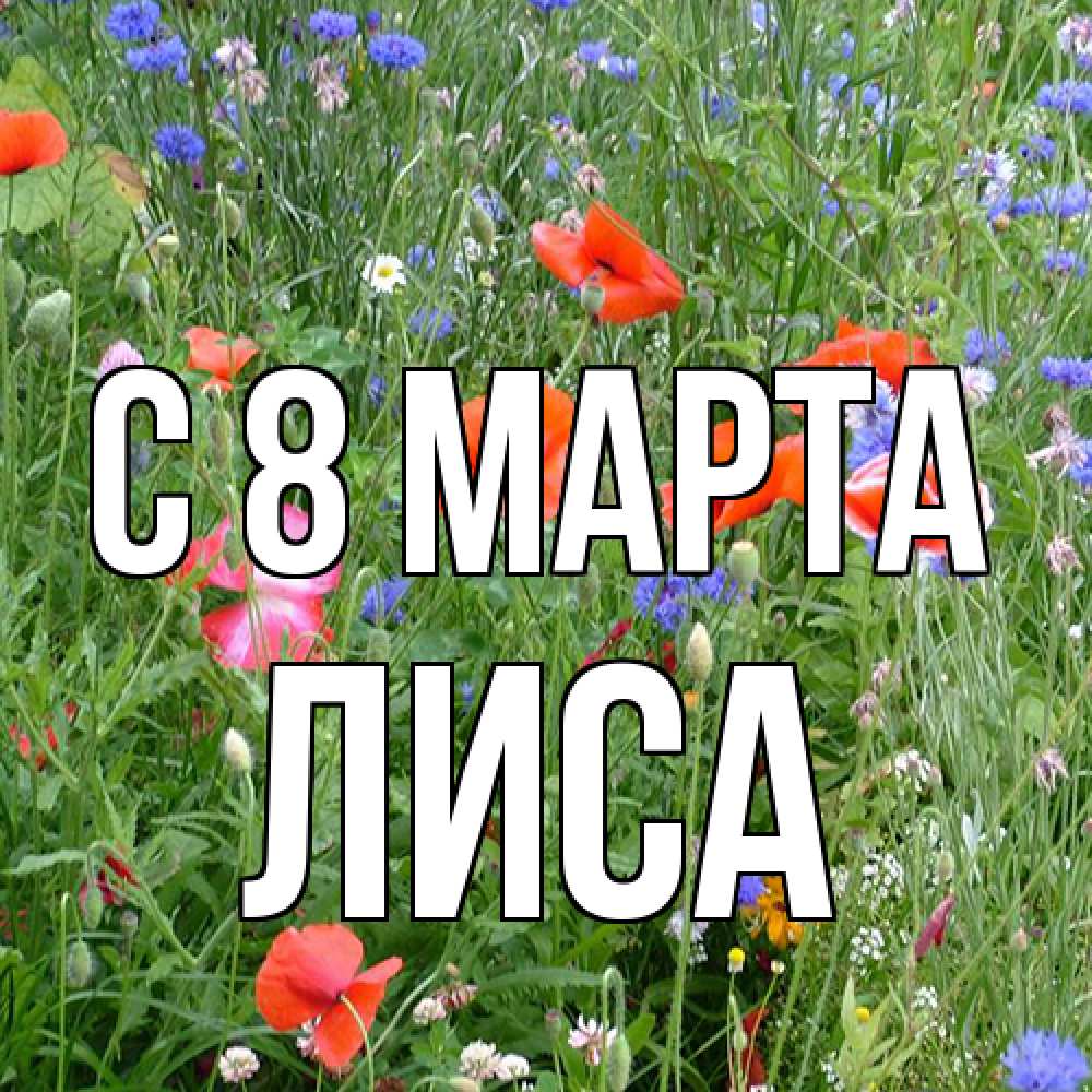 Открытка на каждый день с именем, лиса C 8 МАРТА международный женский день 4 Прикольная открытка с пожеланием онлайн скачать бесплатно 