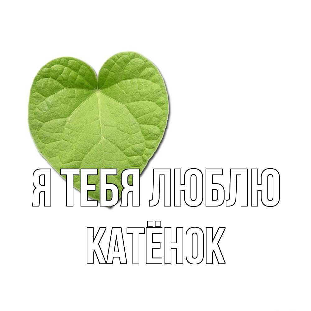 Открытка на каждый день с именем, Катёнок Я тебя люблю тебе Прикольная открытка с пожеланием онлайн скачать бесплатно 