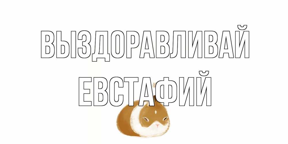 Открытка на каждый день с именем, Евстафий Выздоравливай морская свинка на открытке с пожеланиями не болеть Прикольная открытка с пожеланием онлайн скачать бесплатно 