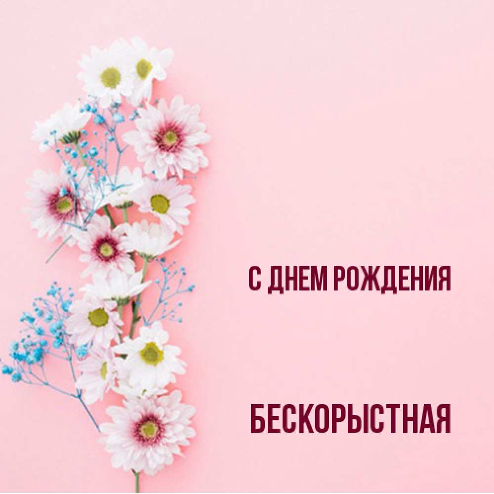 Открытка на каждый день с именем, Бескорыстная С днем рождения Родная моя с днем рождения тебя картинка с цветами белыми и голубыми Прикольная открытка с пожеланием онлайн скачать бесплатно 