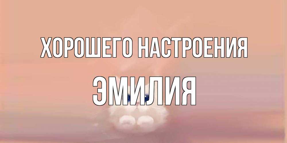 Открытка на каждый день с именем, Эмилия Хорошего настроения кошка Прикольная открытка с пожеланием онлайн скачать бесплатно 