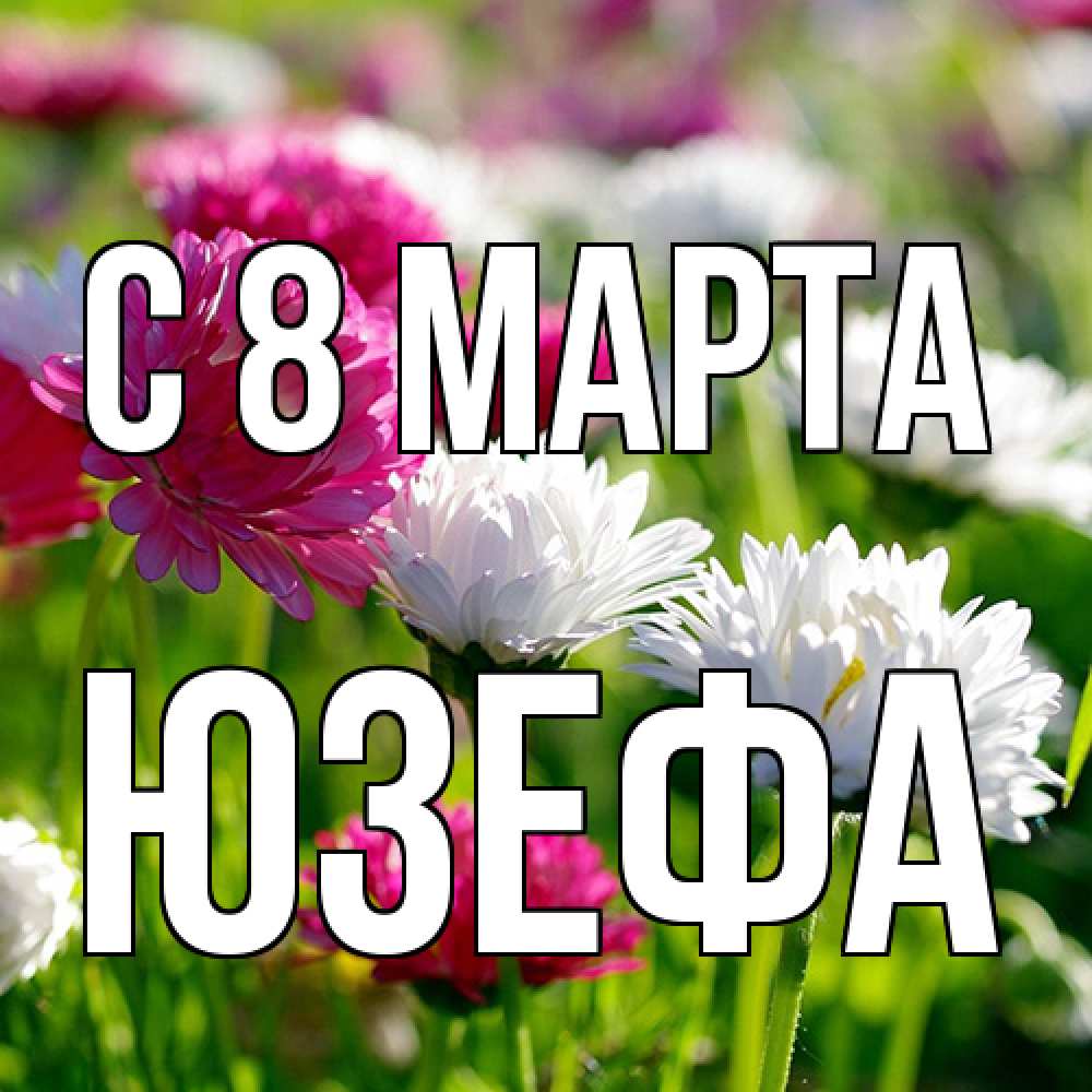 Открытка на каждый день с именем, Юзефа C 8 МАРТА международный женский день 1 Прикольная открытка с пожеланием онлайн скачать бесплатно 