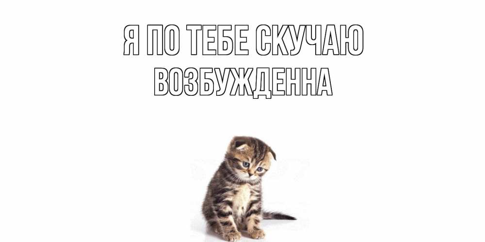 Открытка на каждый день с именем, Возбужденна Я по тебе скучаю кот Прикольная открытка с пожеланием онлайн скачать бесплатно 