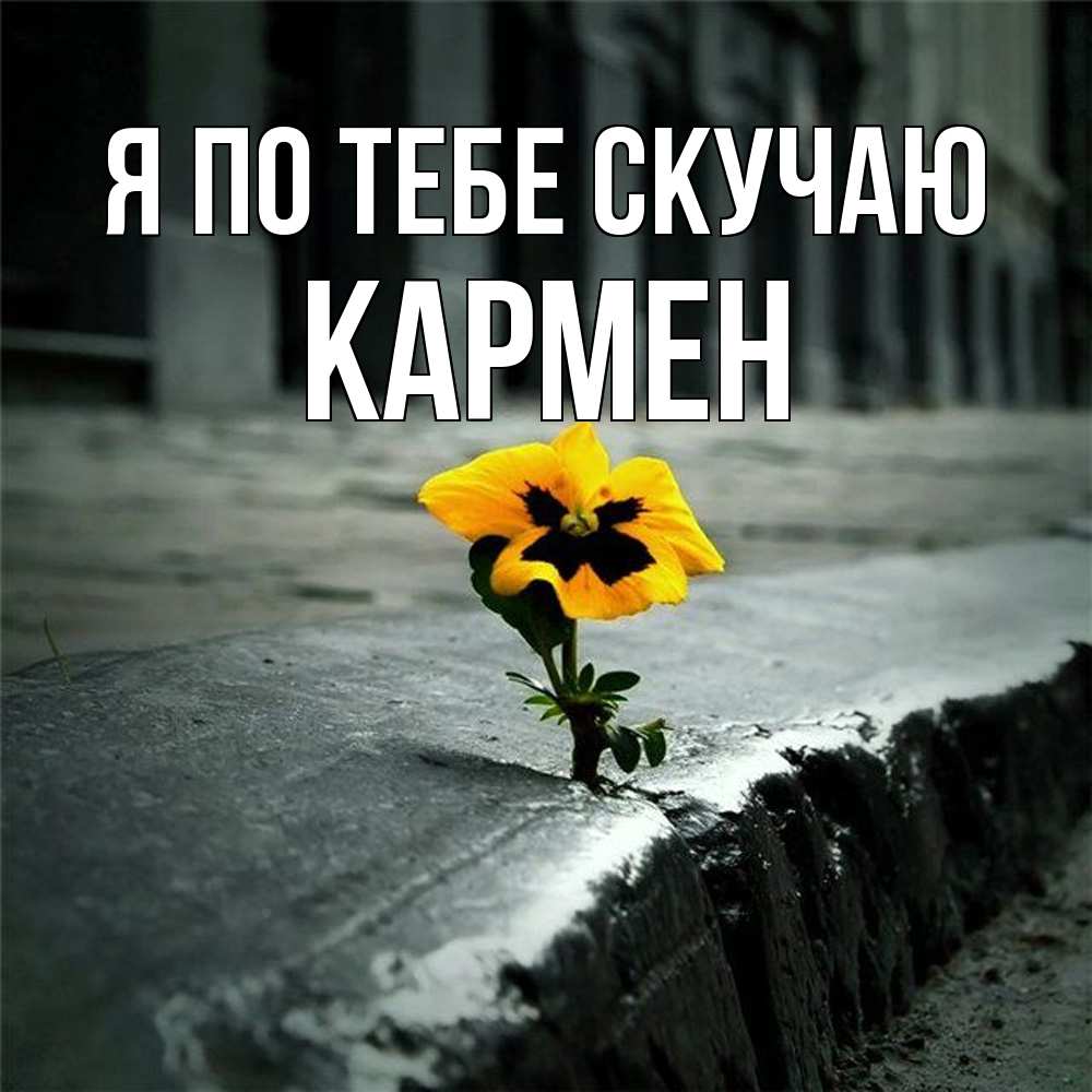 Открытка на каждый день с именем, Кармен Я по тебе скучаю надеюсь будет лучше Прикольная открытка с пожеланием онлайн скачать бесплатно 